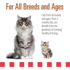 Livelong Healthy & Strong Yummy Turducken Wet Cat Food, 5.5-oz Can, 24 Count -Blue Buffalo Shop 964190 PT3. AC SS1800 V1697117316