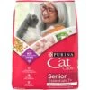 Cat Chow Essentials 7+ Immune + Joint Health Recipe Senior Dry Cat Food -Blue Buffalo Shop 966590 MAIN. AC SS1800 V1696346935