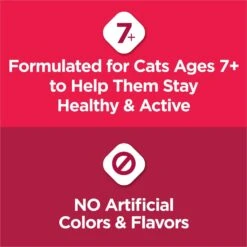 Cat Chow Essentials 7+ Immune + Joint Health Recipe Senior Dry Cat Food 13 Cat Chow Essentials 7+ Immune + Joint Health Recipe Senior Dry Cat Food -Blue Buffalo Shop 966590 PT3. AC SS1800 V1696359580