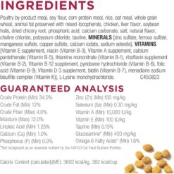 Cat Chow Essentials 7+ Immune + Joint Health Recipe Senior Dry Cat Food 14 Cat Chow Essentials 7+ Immune + Joint Health Recipe Senior Dry Cat Food -Blue Buffalo Shop 966590 PT4. AC SS1800 V1696349397
