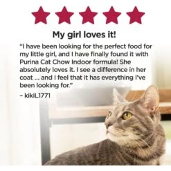 Cat Chow Essentials 7+ Immune + Joint Health Recipe Senior Dry Cat Food 15 Cat Chow Essentials 7+ Immune + Joint Health Recipe Senior Dry Cat Food -Blue Buffalo Shop 966590 PT5. AC SS1800 V1696349395