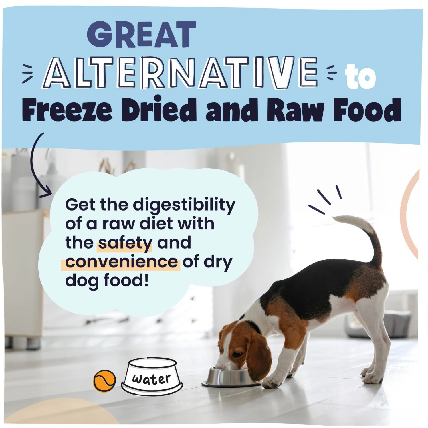 Pawstruck Chicken Recipe Grain-Free Air Dried Dog Food 8 Pawstruck Chicken Recipe Grain-Free Air Dried Dog Food - Image 6