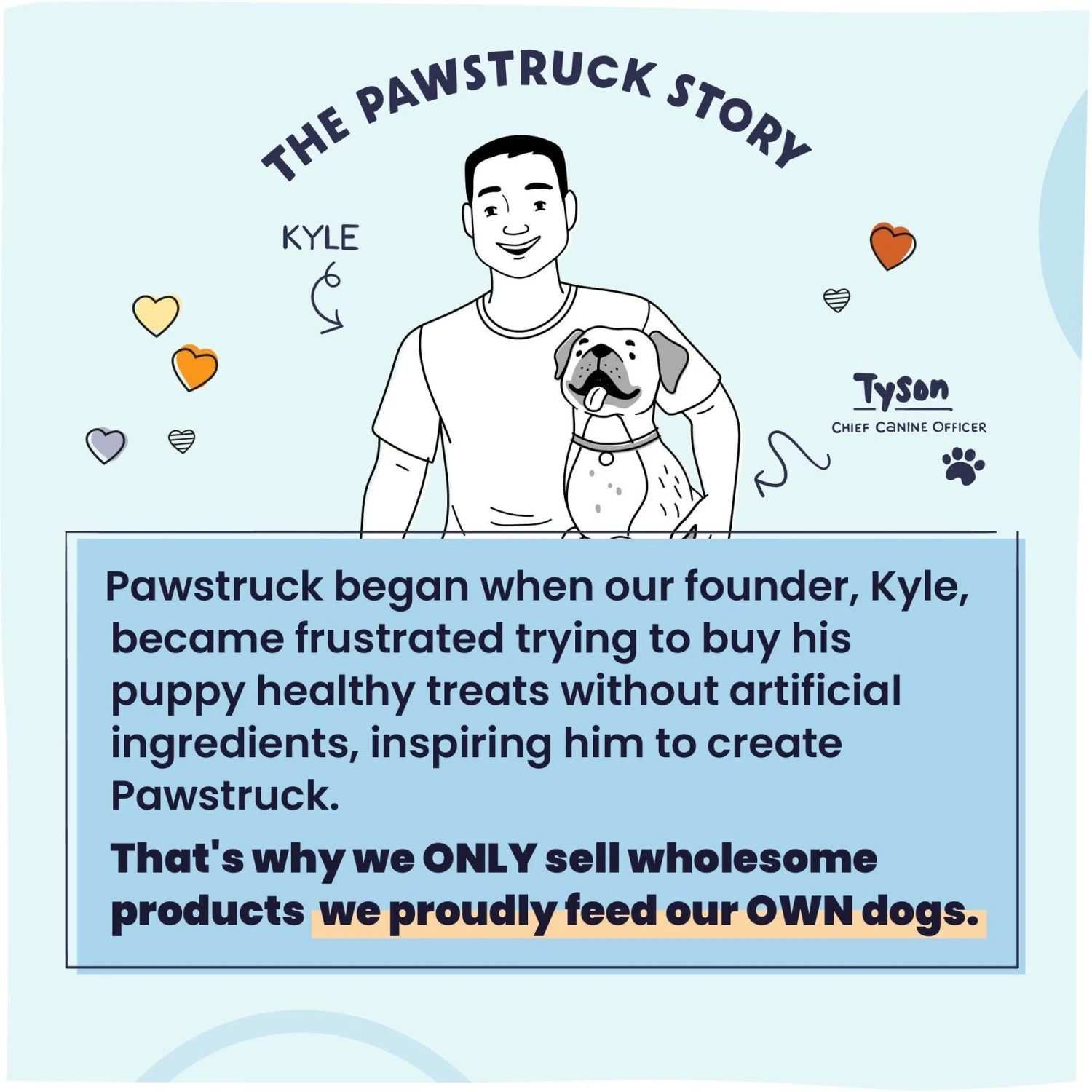 Pawstruck Chicken Recipe Grain-Free Air Dried Dog Food 11 Pawstruck Chicken Recipe Grain-Free Air Dried Dog Food - Image 9