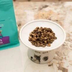 Love, Nala Turkey Grain-Free Adult Dehydrated Cat Food, 1-lb Bag -Blue Buffalo Shop 975110 PT3. AC SS1800 V1698935187