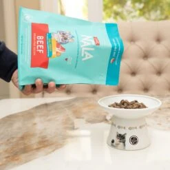 Love, Nala Beef Grain-Free Adult Dehydrated Cat Food, 1-lb Bag -Blue Buffalo Shop 975126 PT1. AC SS1800 V1698935187