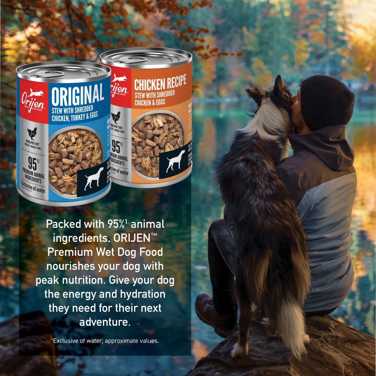 ORIJEN Original & Chicken Entree Variety Pack Grain-Free Wet Dog Food, 12-oz Can, Case Of 6 6 ORIJEN Original & Chicken Entree Variety Pack Grain-Free Wet Dog Food, 12-oz Can, Case Of 6 - Image 4