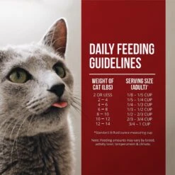 Fussie Cat Market Fresh Chicken & Turkey Recipe Grain-Free Dry Cat Food -Blue Buffalo Shop 98153 PT5. AC SS1800 V1642566997