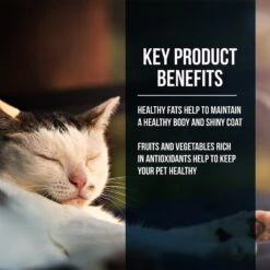 Fussie Cat Market Fresh Salmon Recipe Grain-Free Dry Cat Food -Blue Buffalo Shop 98157 PT2. AC SS1800 V1642553197