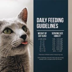 Fussie Cat Market Fresh Salmon Recipe Grain-Free Dry Cat Food -Blue Buffalo Shop 98157 PT5. AC SS1800 V1642568205