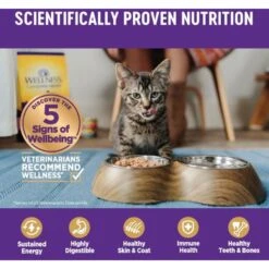 Wellness Complete Health Seafood Pate Favorites Variety Pack Grain-Free Wet Cat Food, 3-oz Can, Case Of 12 -Blue Buffalo Shop 984646 PT4. AC SS1800 V1699642707
