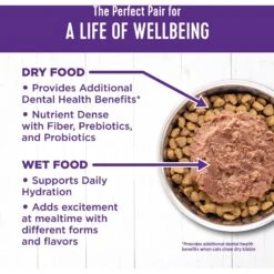 Wellness Complete Health Seafood Pate Favorites Variety Pack Grain-Free Wet Cat Food, 3-oz Can, Case Of 12 -Blue Buffalo Shop 984646 PT5. AC SS1800 V1699642706