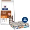 Hill's Prescription Diet K/d Kidney Care With Chicken Dry Cat Food & Hill's Prescription Diet K/d Kidney Care Pate With Tuna Wet Cat Food -Blue Buffalo Shop 986422 MAIN. AC SS1800 V1698672317