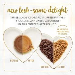 Fancy Feast Senior 7+ Chicken, Beef & Tuna Feasts Variety Pack Canned Cat Food & Purina ONE Indoor Advantage Senior 7+ High Protein Natural Dry Cat Food 14 Fancy Feast Senior 7+ Chicken, Beef & Tuna Feasts Variety Pack Canned Cat Food & Purina ONE Indoor Advantage Senior 7+ High Protein Natural Dry Cat Food -Blue Buffalo Shop 986446 PT3. AC SS1800 V1698672270