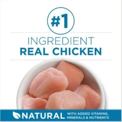 Fancy Feast Senior 7+ Chicken, Beef & Tuna Feasts Variety Pack Canned Cat Food & Purina ONE Indoor Advantage Senior 7+ High Protein Natural Dry Cat Food 19 Fancy Feast Senior 7+ Chicken, Beef & Tuna Feasts Variety Pack Canned Cat Food & Purina ONE Indoor Advantage Senior 7+ High Protein Natural Dry Cat Food -Blue Buffalo Shop 986446 PT8. AC SS1800 V1698672268