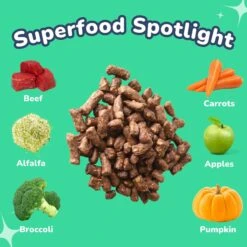 Healthybud Beef Meal Bites Freeze-Dried Dog Food, 14-oz Bag -Blue Buffalo Shop 992558 PT2. AC SS1800 V1702938490