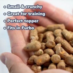 Healthybud Beef Meal Bites Freeze-Dried Dog Food, 14-oz Bag -Blue Buffalo Shop 992558 PT4. AC SS1800 V1702938490