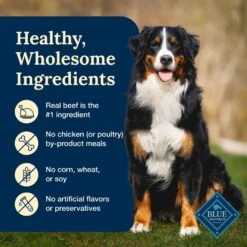 Blue Buffalo Delectables Beef Dinner Natural Wet Dog Food, 3-oz Pouch, Case Of 24 15 Blue Buffalo Delectables Beef Dinner Natural Wet Dog Food, 3-oz Pouch, Case Of 24 -Blue Buffalo Shop 992790 PT5. AC SS1800 V1699023084