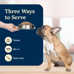 Blue Buffalo Delectables Beef Dinner Natural Wet Dog Food, 3-oz Pouch, Case Of 24 16 Blue Buffalo Delectables Beef Dinner Natural Wet Dog Food, 3-oz Pouch, Case Of 24 -Blue Buffalo Shop 992790 PT6. AC SS1800 V1699023079