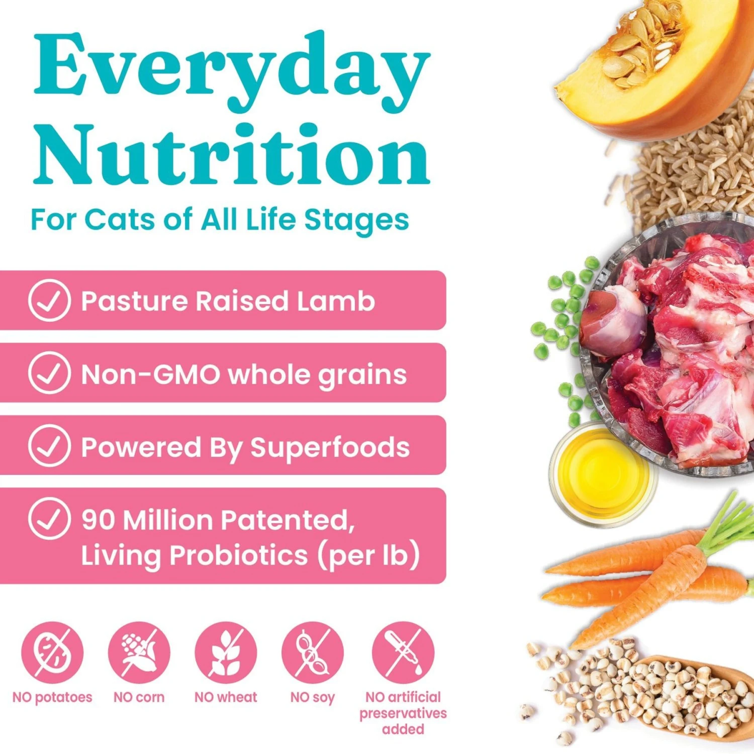 Solid Gold Katz-n-Flocken Lamb & Brown Rice Recipe With Pearled Barley Whole Grain Dry Cat Food 4 Solid Gold Katz-n-Flocken Lamb & Brown Rice Recipe With Pearled Barley Whole Grain Dry Cat Food - Image 2