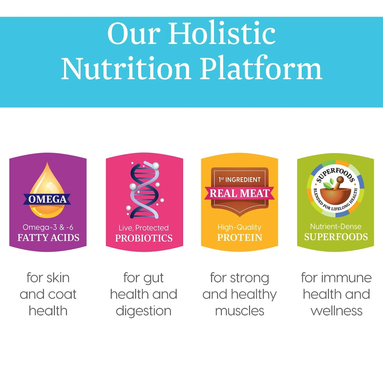 Solid Gold Holistic Delights Creamy Bisque With Chicken & Coconut Milk Grain-Free Cat Food Pouches 7 Solid Gold Holistic Delights Creamy Bisque With Chicken & Coconut Milk Grain-Free Cat Food Pouches - Image 5