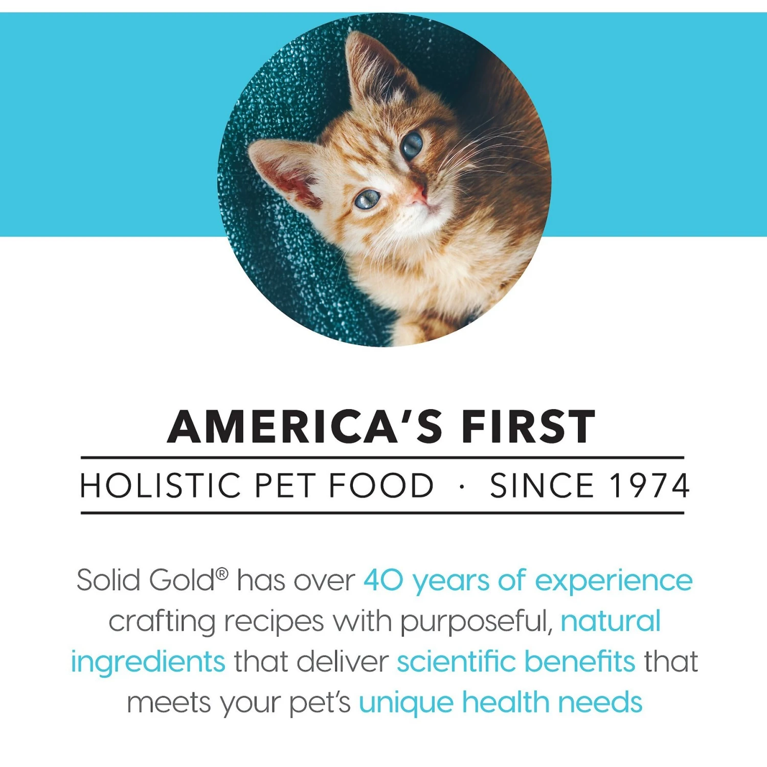 Solid Gold Purrfect Pairings Savory Mousse With Chicken Liver & Goat Milk Grain-Free Cat Food Cups 7 Solid Gold Purrfect Pairings Savory Mousse With Chicken Liver & Goat Milk Grain-Free Cat Food Cups - Image 5