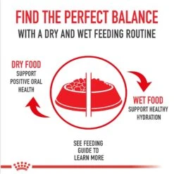 Royal Canin Puppy Canned Dog Food 14 Royal Canin Puppy Canned Dog Food -Blue Buffalo Shop 99646 PT5. AC SS1800 V1696614226