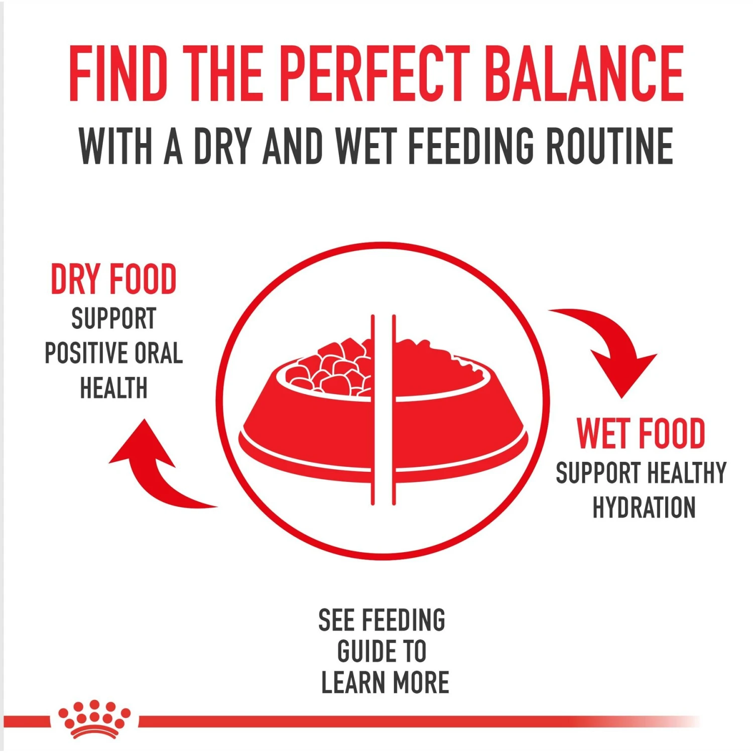 Royal Canin Puppy Canned Dog Food 8 Royal Canin Puppy Canned Dog Food - Image 6