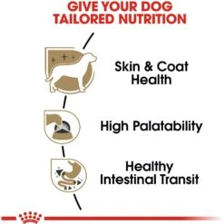 Royal Canin Breed Health Nutrition Chihuahua Adult Loaf In Sauce Dog Food -Blue Buffalo Shop 99656 PT2. AC SS1800 V1592559955