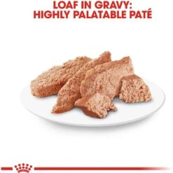 Royal Canin Breed Health Nutrition Chihuahua Adult Loaf In Sauce Dog Food -Blue Buffalo Shop 99656 PT5. AC SS1800 V1592850093