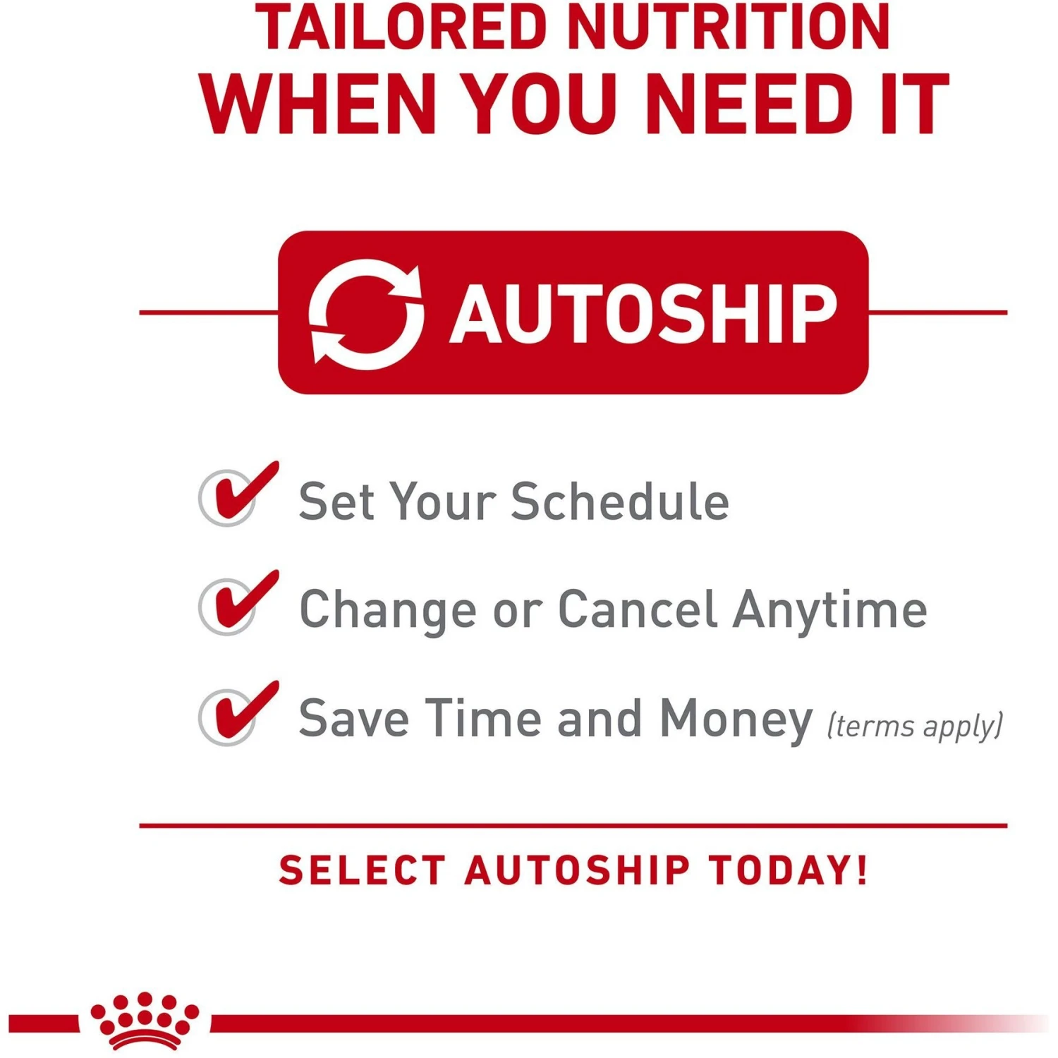 Royal Canin Feline Breed Nutrition Maine Coon Thin Slices In Gravy Adult Canned Cat Food, 3-oz, Case Of 4 7 Royal Canin Feline Breed Nutrition Maine Coon Thin Slices In Gravy Adult Canned Cat Food, 3-oz, Case Of 4 - Image 5